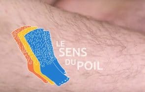 Le Sens du Poil, la série sur l’épilation qui détend du bulbe
