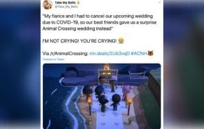 Un couple organise son mariage dans Animal Crossing pendant le confinement