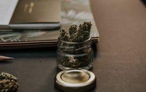 Pourquoi j’ai eu tort de prendre la weed à la légère
