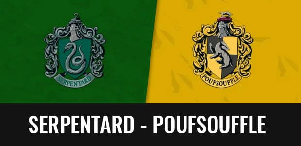 Quelle serait votre maison dans Harry Potter ? - Page 2 Serpentard-poufsouffle-profil