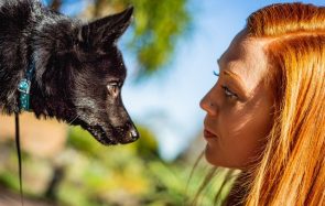 Comment j’ai renoué avec un animal après la mort de mon chat