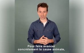 Hugo Clément défend la cause animale avec le Référendum des Animaux