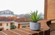 4 façons d’avoir sa dose de nature quand on habite en ville